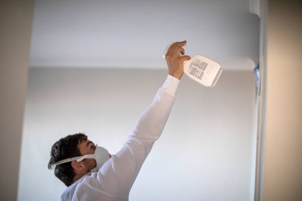 Best Professional Mold Removal  in Grandview, WA