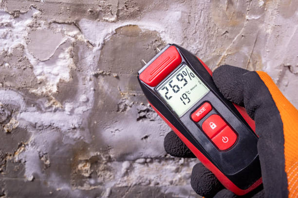 Best Office Mold Removal Services  in Grandview, WA