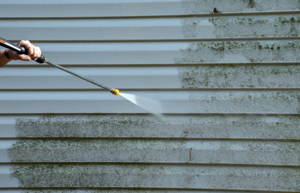 Best Toxic Mold Removal  in Grandview, WA