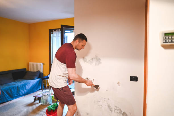 Best Mold Removal Company Near Me  in Grandview, WA