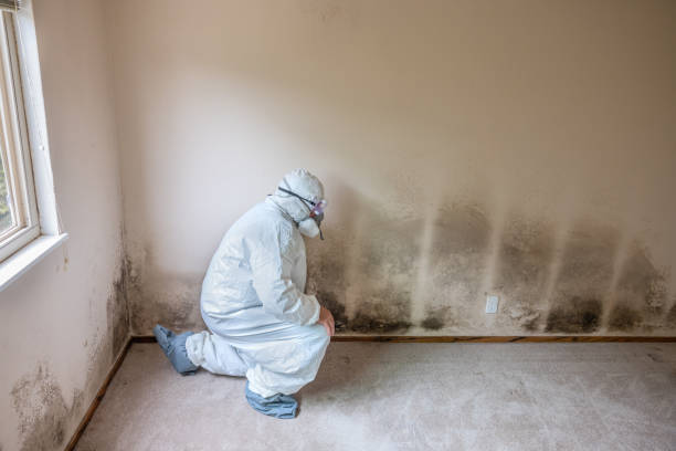 Best Mold Testing  in Grandview, WA